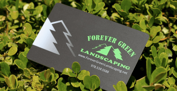 Matte Plastic Business Cards for a stand-out look and feel!